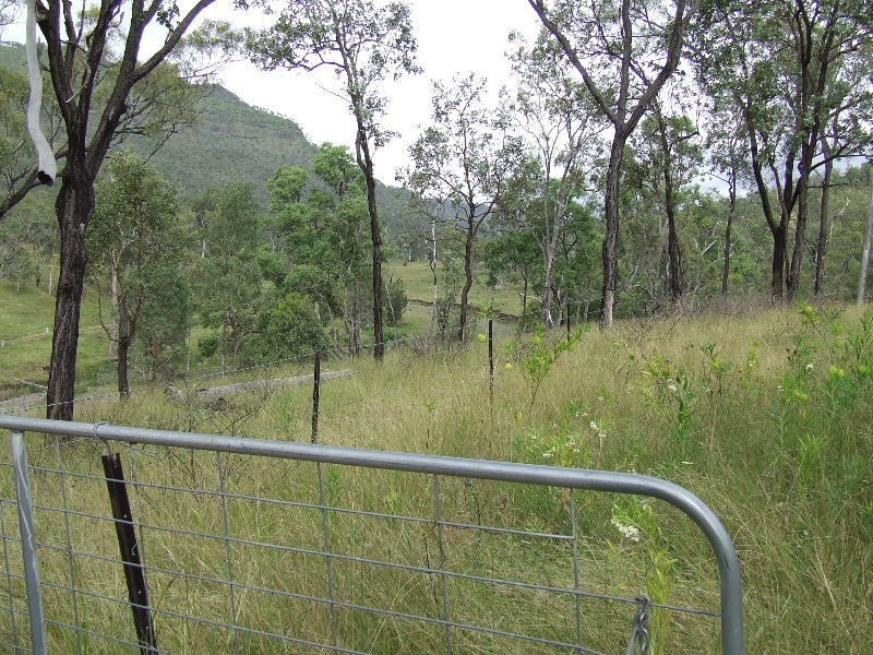 Black Duck Creek QLD 4343