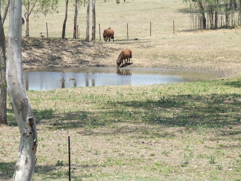Laidley Creek West QLD 4341