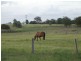 Tarampa QLD 4311