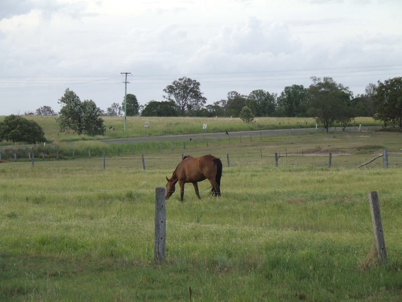 Tarampa QLD 4311