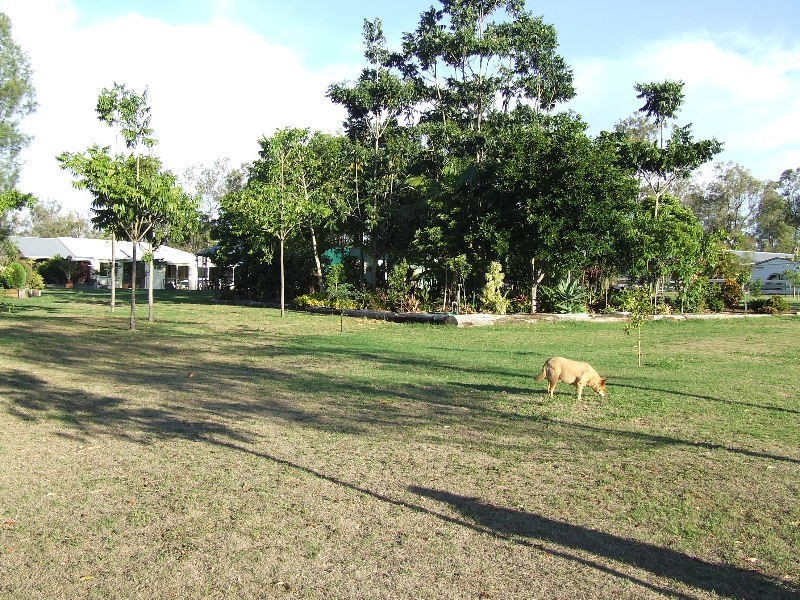 4 Cypress Court, Brightview QLD 4311