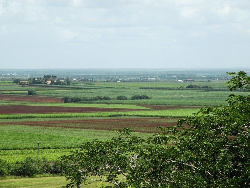 1 Grotherr Street, Qunaba QLD 4670