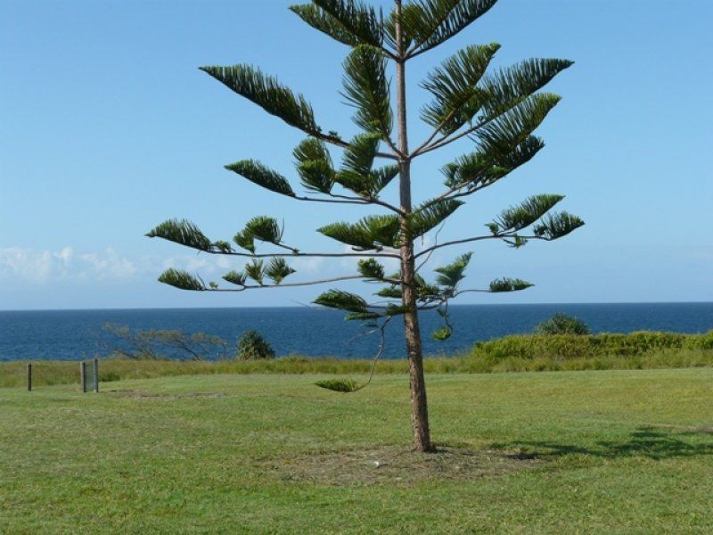 28 Selmar Place, Innes Park QLD 4670