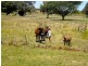 L2 Hermans Road, Burnett Heads QLD 4670