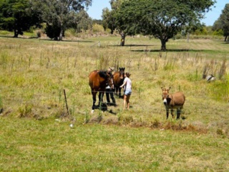 L2 Hermans Road, Burnett Heads QLD 4670