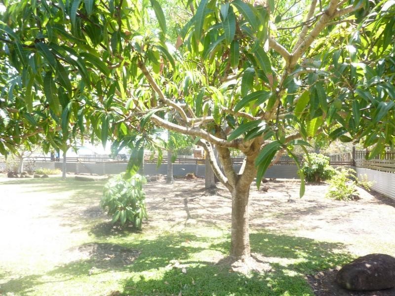 56 Ocean Street, Burnett Heads QLD 4670