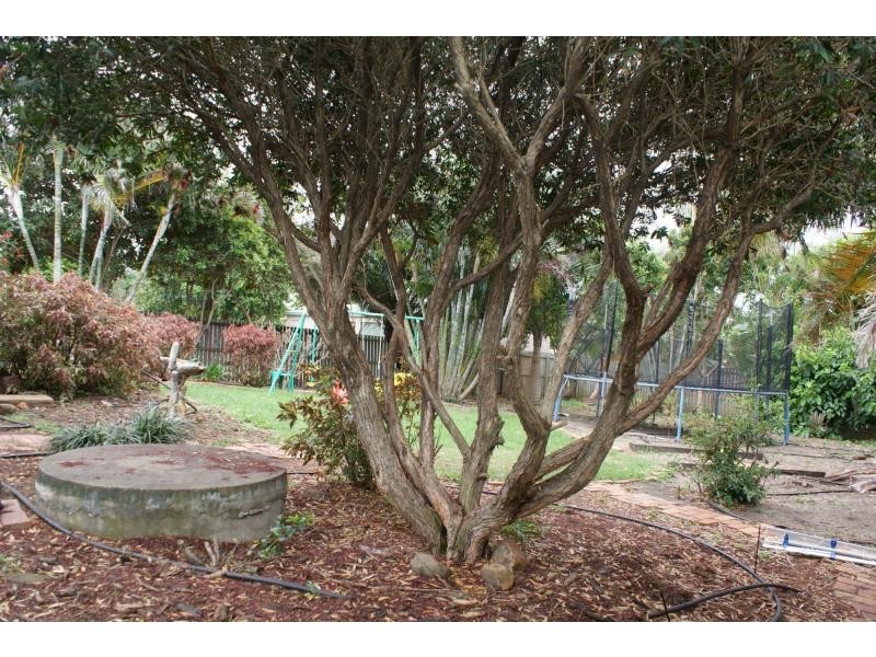 38 Poinciana Drive, Innes Park QLD 4670