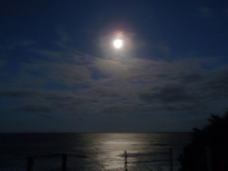 157 Woongarra Scenic Drive, Bargara QLD 4670