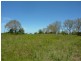 L1 CNR Rubyanna And Port Roads, Rubyanna QLD 4670
