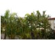 53 Hunter Street, Burnett Heads QLD 4670