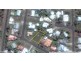 24 Bluewater Drive, Elliott Heads QLD 4670