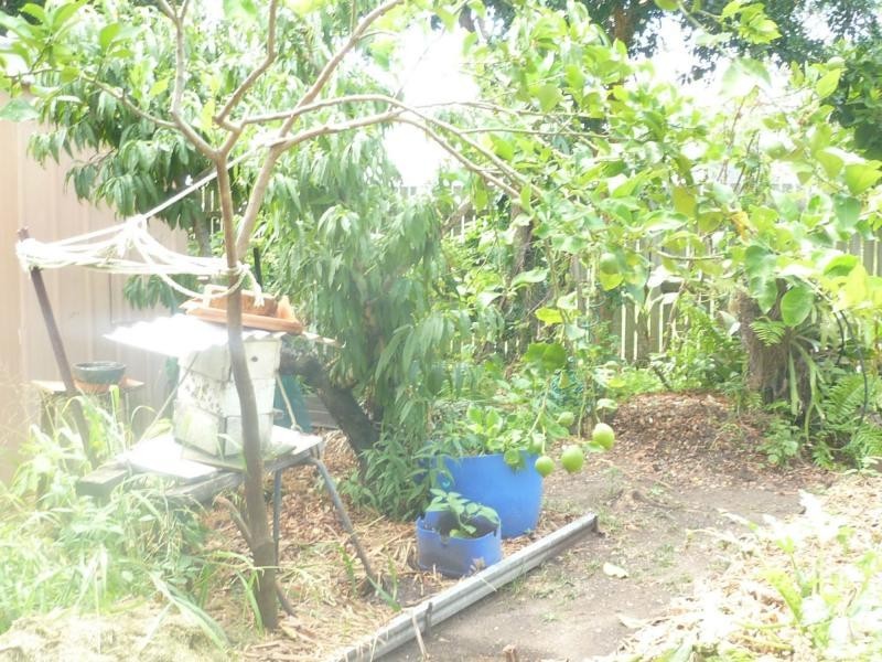 53 Shell Street, Burnett Heads QLD 4670