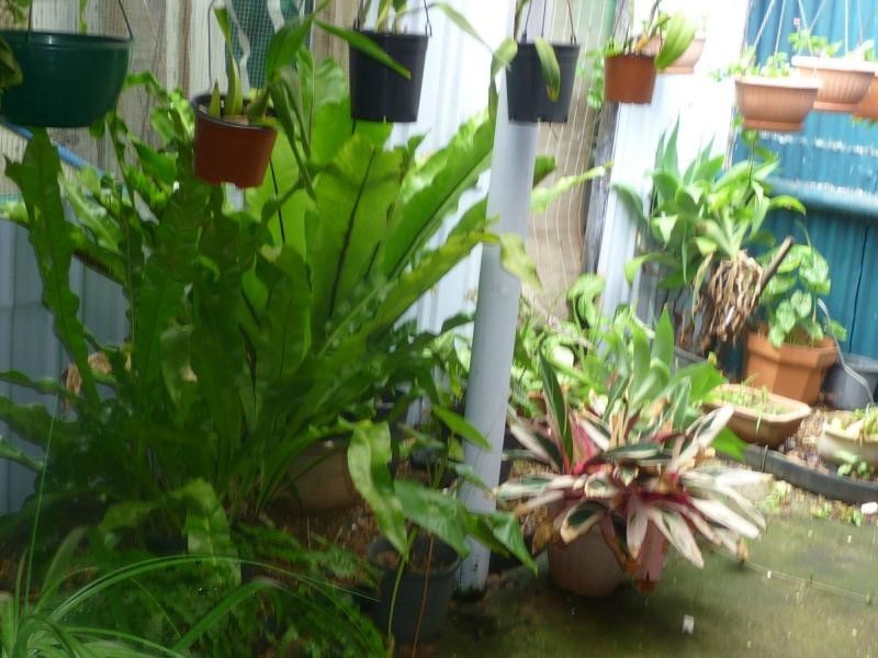 53 Shell Street, Burnett Heads QLD 4670