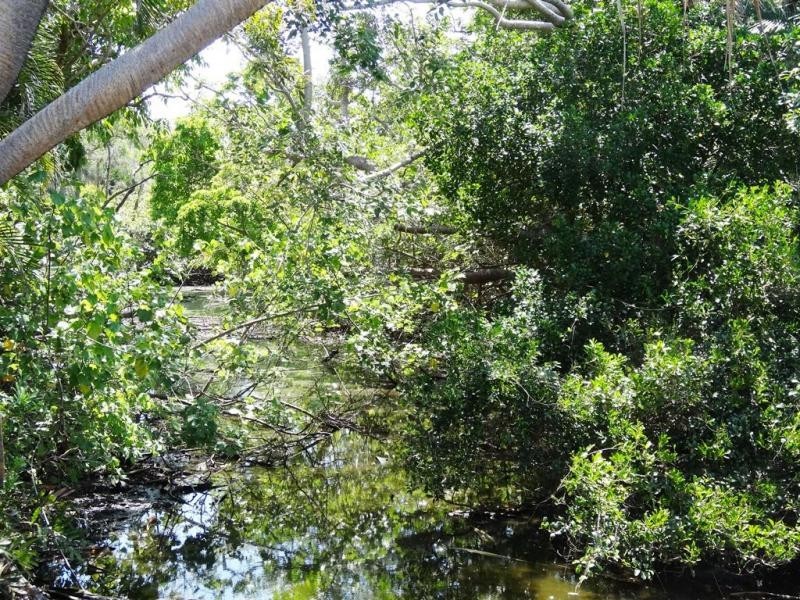 80 Woongarra Scenic Drive, Bargara QLD 4670