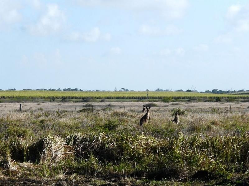 Lot 31 Logan Road, Innes Park QLD 4670