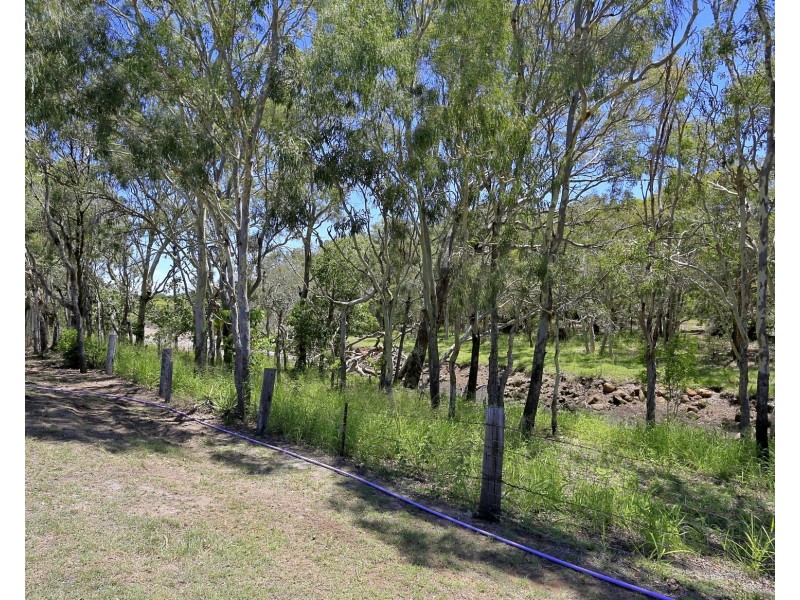 10 Amronel Cl, Innes Park QLD 4670