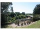 377 Oldbury Road, Sutton Forest NSW 2577