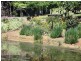 377 Oldbury Road, Sutton Forest NSW 2577