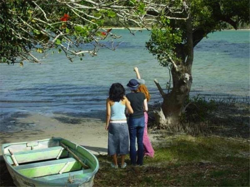 22 Main Street, Wooli NSW 2462