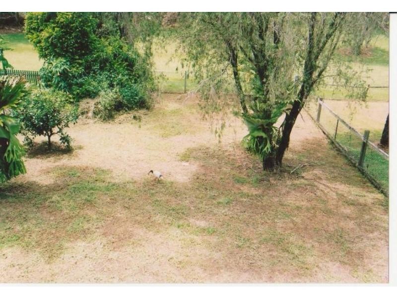 64 Wardrop Street, Murwillumbah NSW 2484