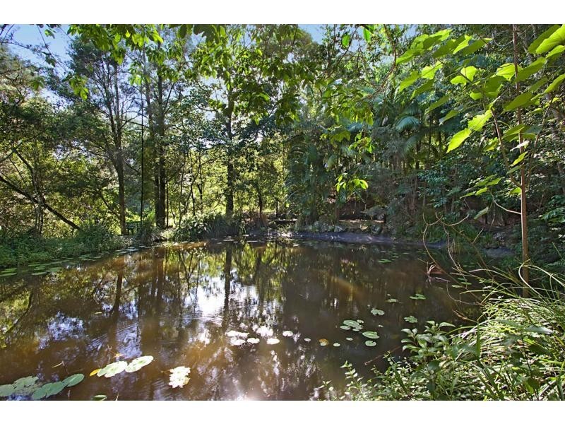 6916 Tweed Valley Way, Stokers Siding NSW 2484