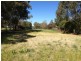 24 Montefiores Street, Wellington NSW 2820