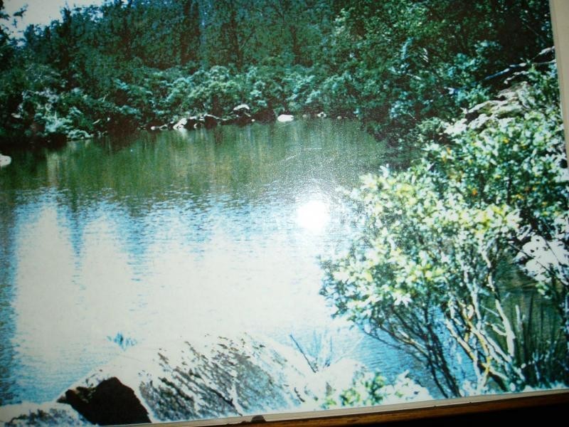 395 Bruxner Road, Tabulam NSW 2469