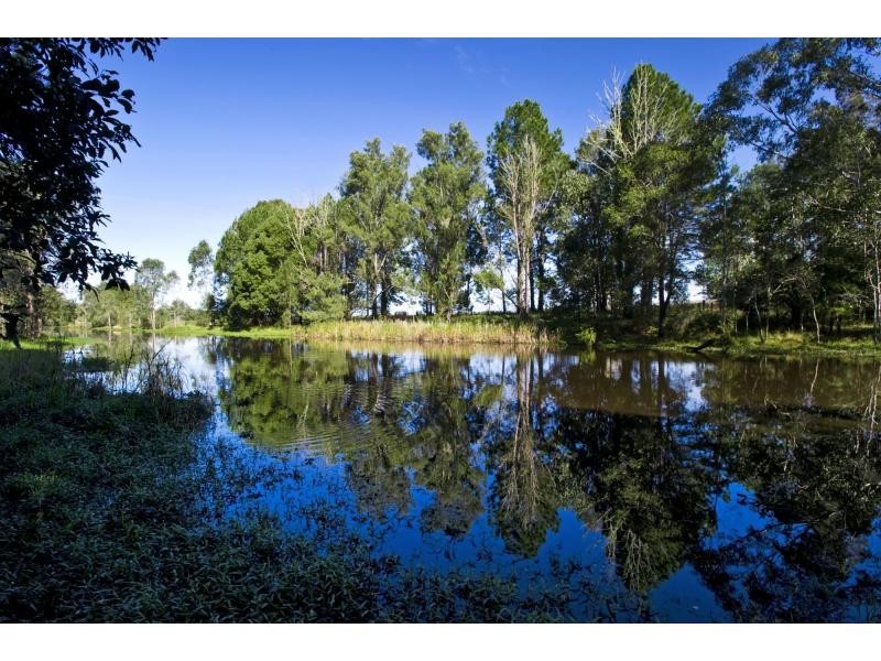 32 South Arm School Road, Brushgrove NSW 2460