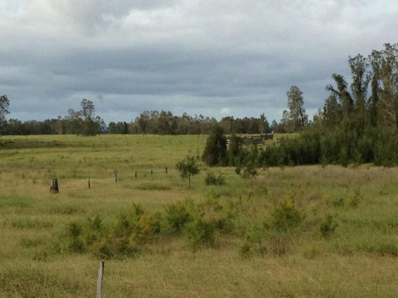 105 Cassons Creek Road, Ulmarra NSW 2462