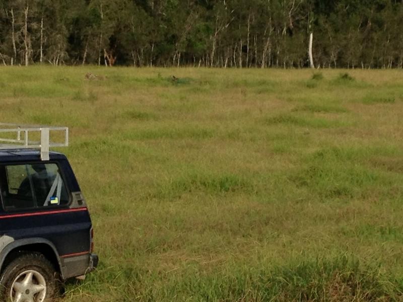 105 Cassons Creek Road, Ulmarra NSW 2462