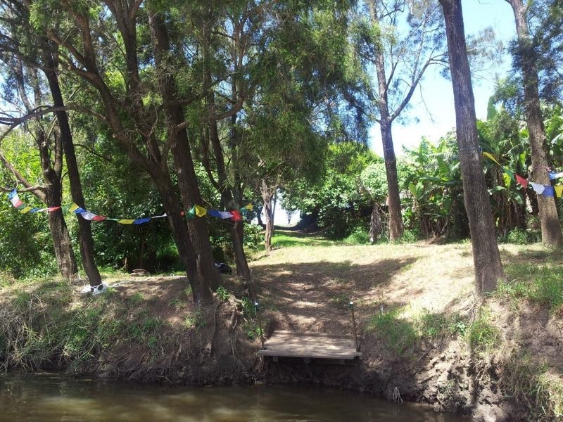 135 Codrington Lane, Codrington NSW 2471