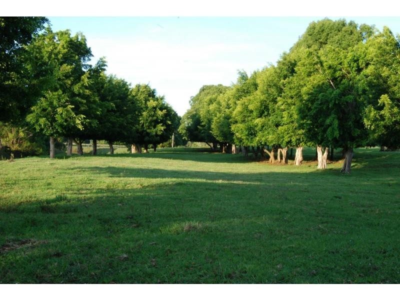 456 Eltham Road, Eltham NSW 2480