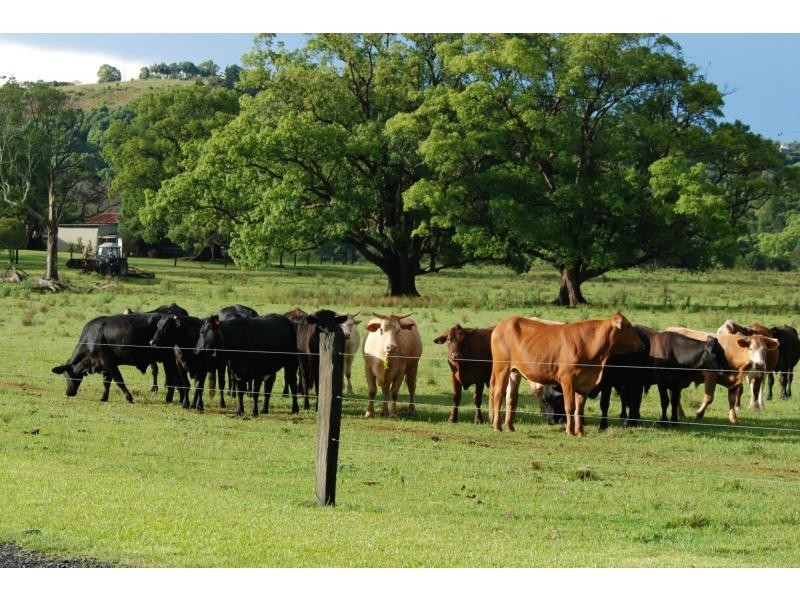 456 Eltham Road, Eltham NSW 2480