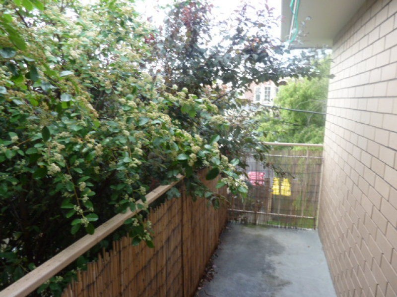 6/30 Steele Street, Moonee Ponds VIC 3039