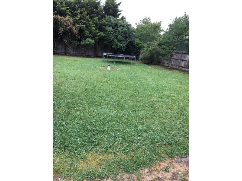 11 Seebeck Drive, Narre Warren South VIC 3805