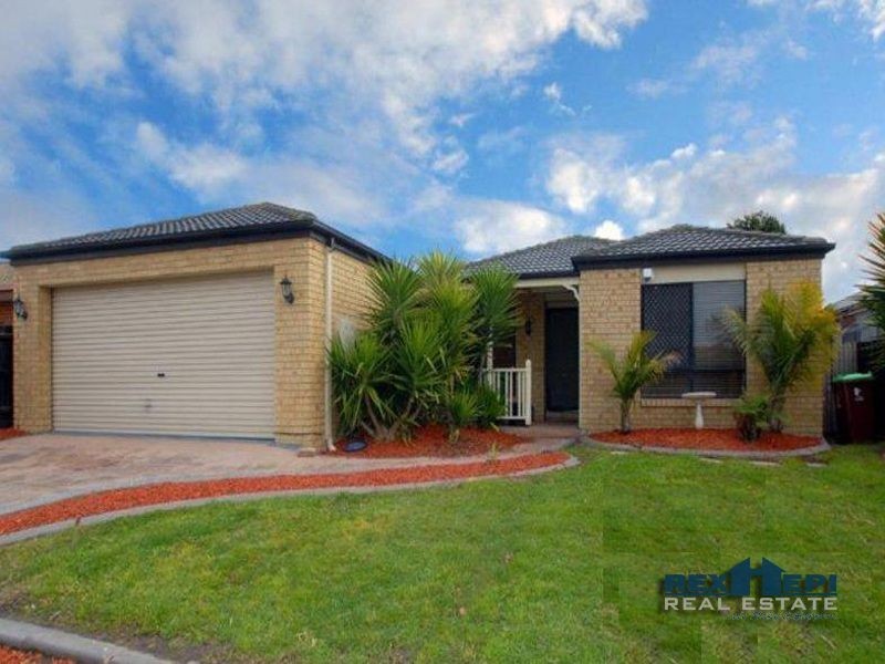 16 Douglas Court, Cranbourne West VIC 3977