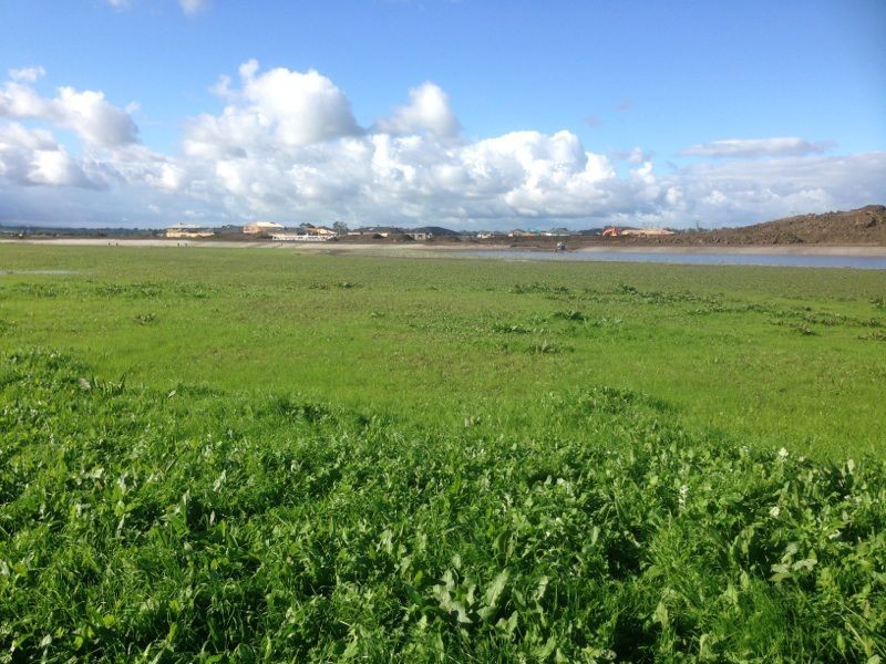 5 Coberley Way, Cranbourne North VIC 3977