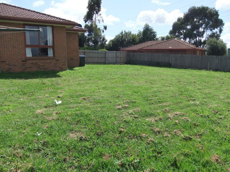 23 George Chudleigh Drive, Hallam VIC 3803