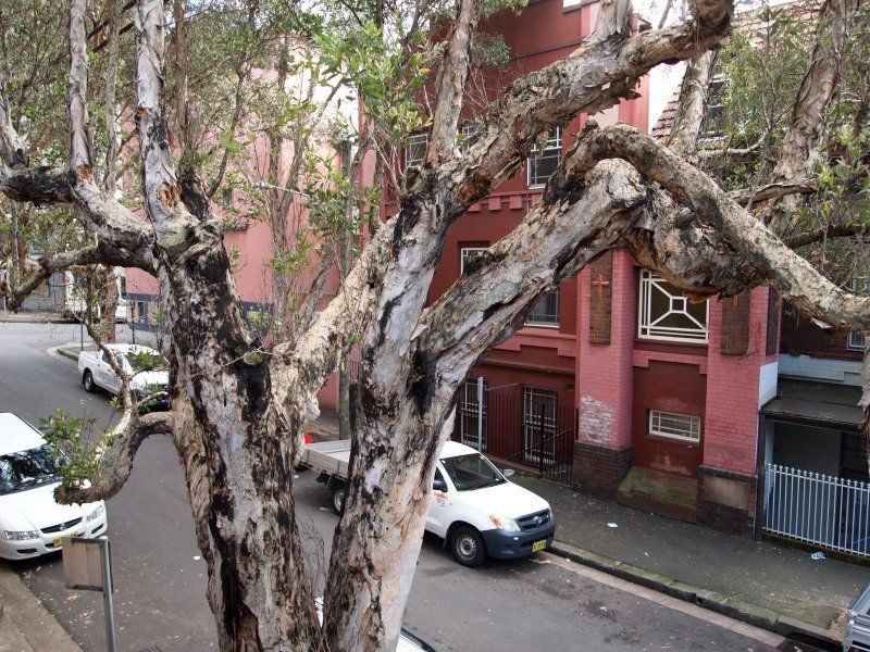 43 FRANCIS Street, Darlinghurst NSW 2010