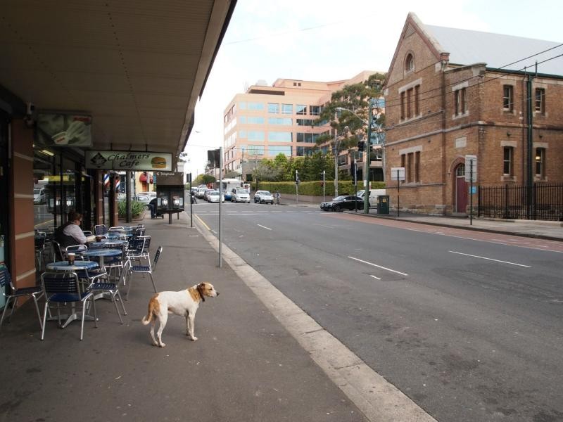 201/208 Chalmers Street, Surry Hills NSW 2010