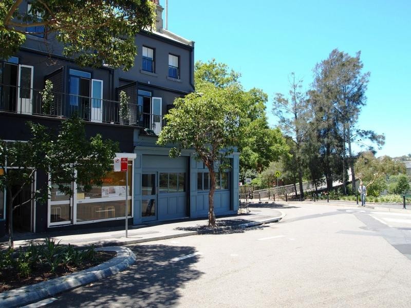 58 Bayswater Road, Potts Point NSW 2011
