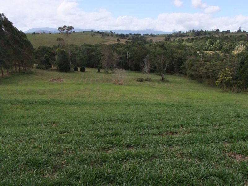 Yungaburra QLD 4884