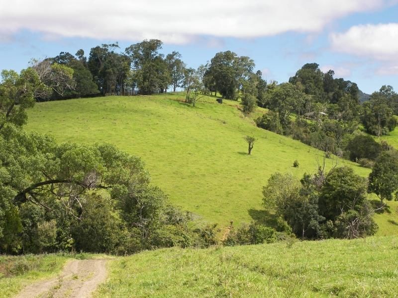 535 Turner Road, Tarzali QLD 4885