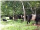 535 Turner Road, Tarzali QLD 4885