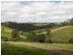 535 Turner Road, Tarzali QLD 4885