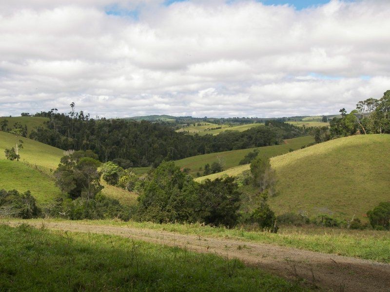 535 Turner Road, Tarzali QLD 4885