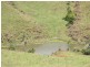 535 Turner Road, Tarzali QLD 4885