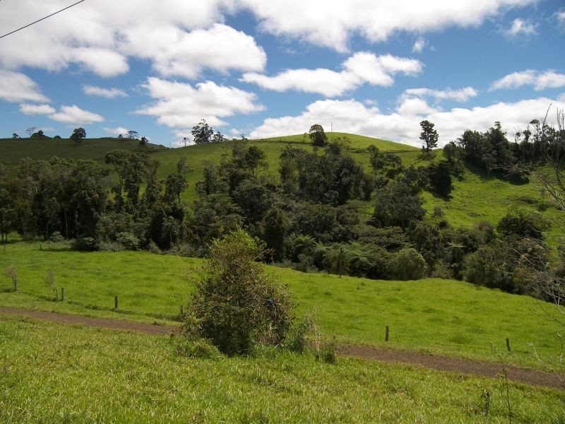 535 Turner Road, Tarzali QLD 4885