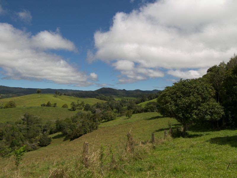 535 Turner Road, Tarzali QLD 4885