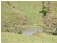 535 Turner Road, Tarzali QLD 4885